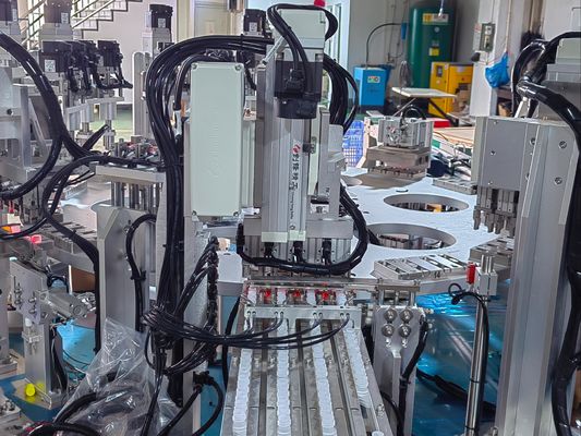 Customized Non-standard Automation Cap Screwing Machine